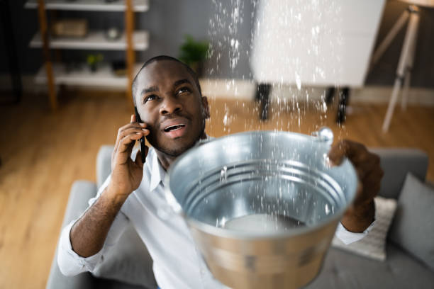 Best Local water damage restoration  in Pitman, NJ