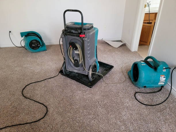 Best Water damage restoration company  in Pitman, NJ