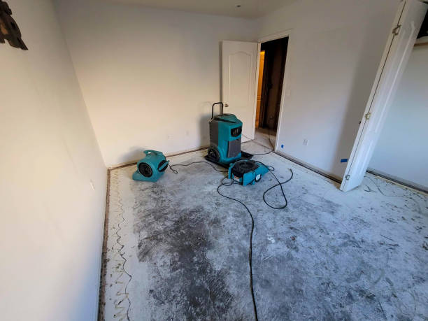 Best Professional water damage repair  in Pitman, NJ