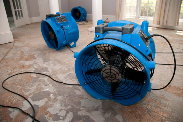 Best Mold removal after water damage  in Pitman, NJ