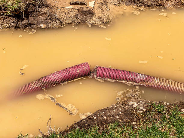 Best Sewage cleanup and water damage restoration  in Pitman, NJ