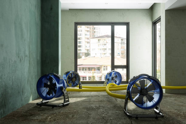 Best Water damage restoration services  in Pitman, NJ